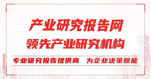 2022-2028年中國牙膏行業前景研究與投資戰略咨詢報告 聚焦中小企業管理