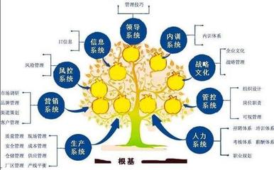 中小企業(yè)如何精準(zhǔn)選擇與管理咨詢機(jī)構(gòu) 一份實(shí)用指南