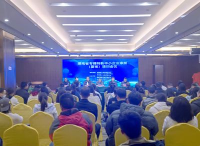 永州市工信局成功舉辦2023年專精特新中小企業申報培訓會，助力中小企業管理升級