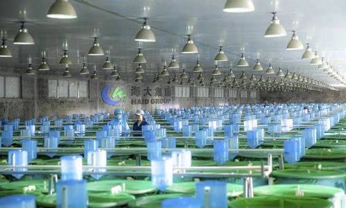 2024,哪些企業(yè)會倒下 哪些企業(yè)會雄起 哪些品種會暴雷 又有哪些機會 四問中國水產業(yè)